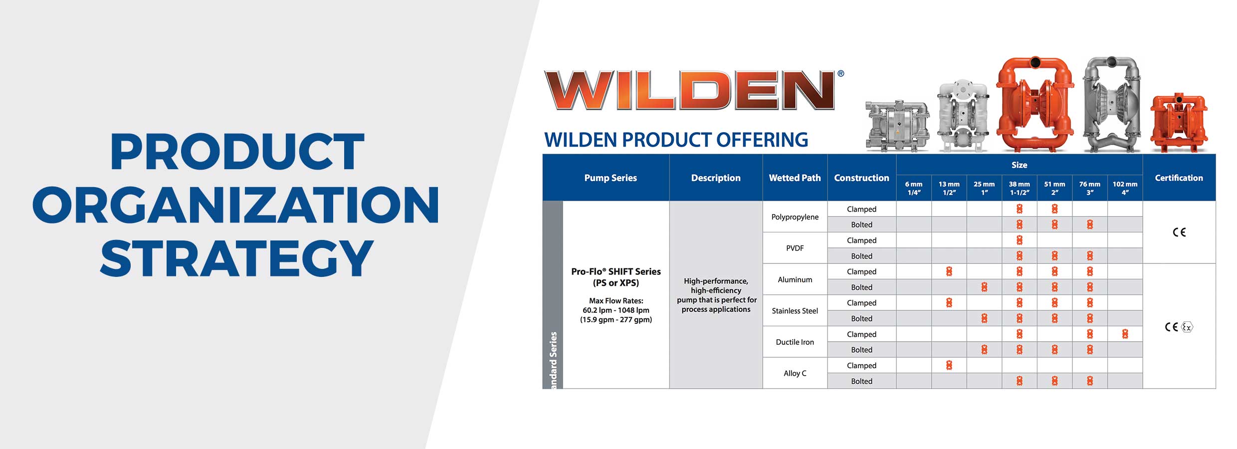 New Product Organization Strategy