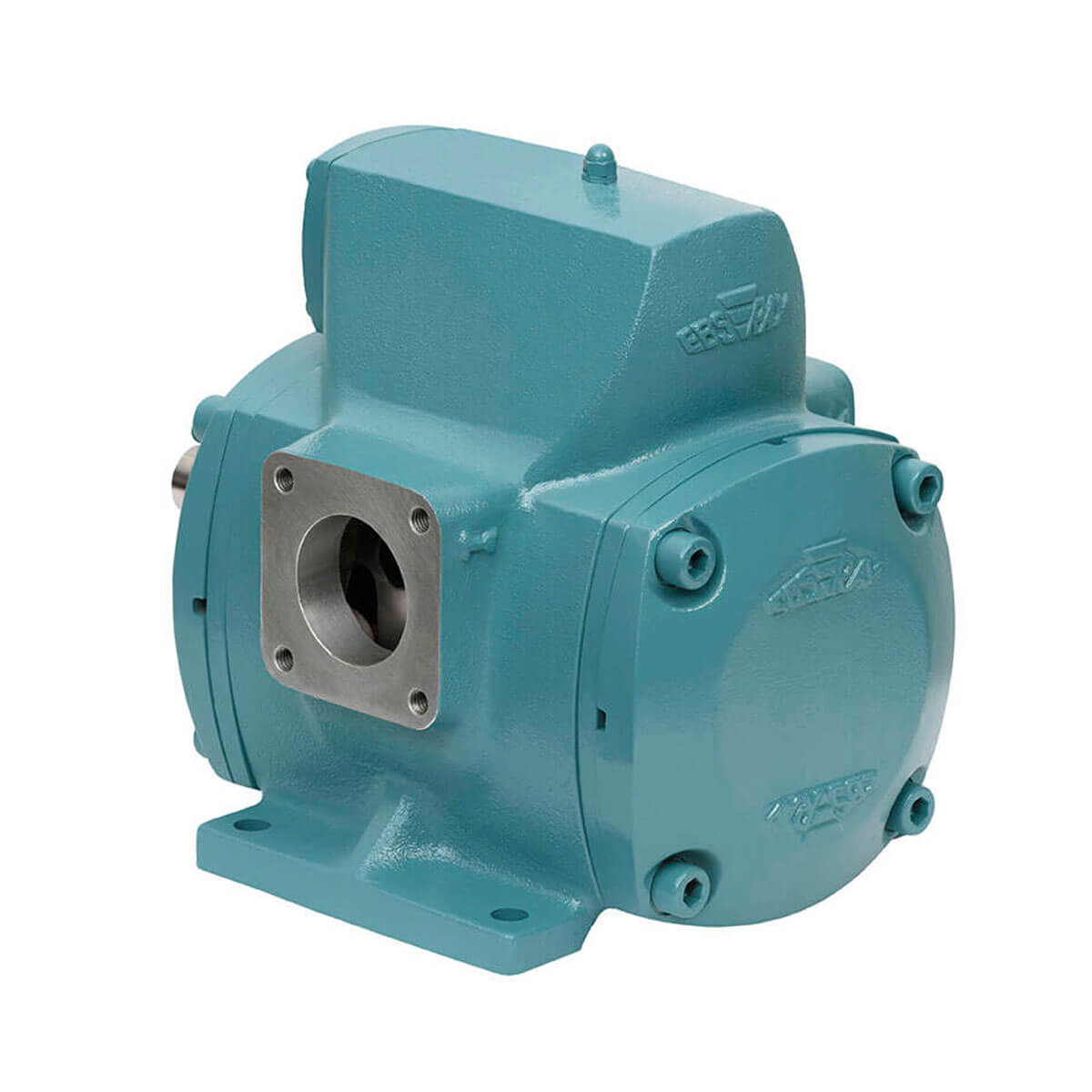 V20 Rotary Vane Pump Ebsray