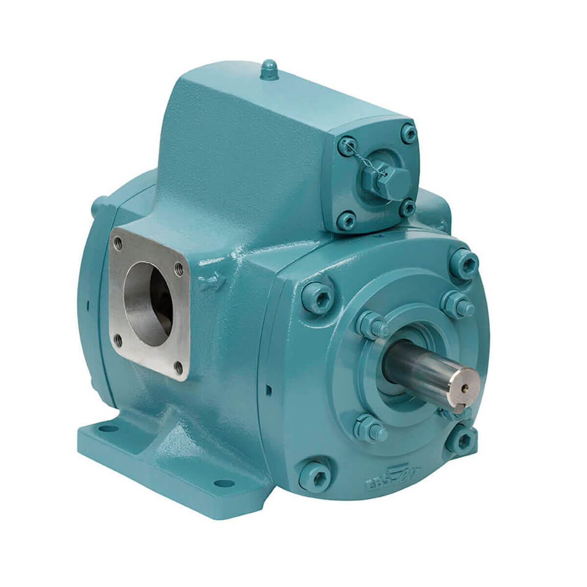 V20 Rotary Vane Pump | Ebsray