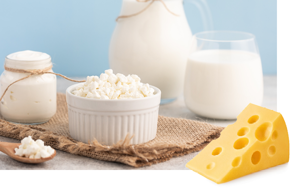 A background image of milks and cheeses and a slice of Swiss cheese in the foreground