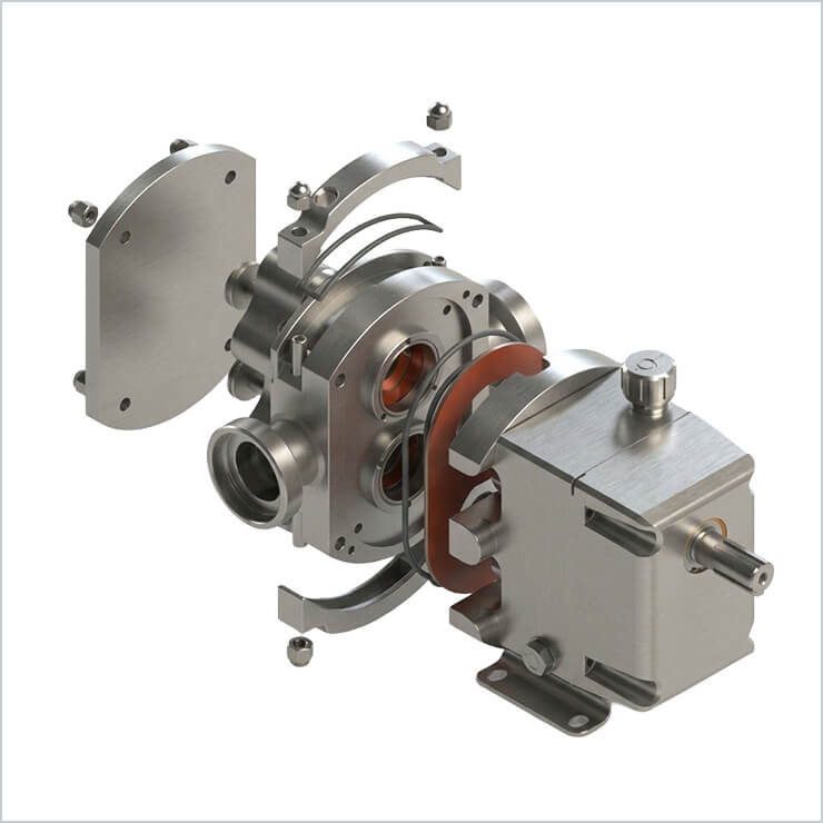 an ipp Rotary Lobe Pump Cutaway