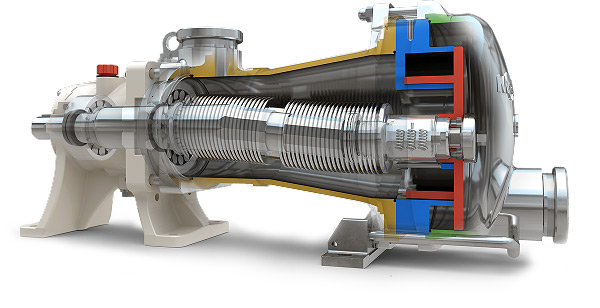 Cutaway of an eccentric disc pump