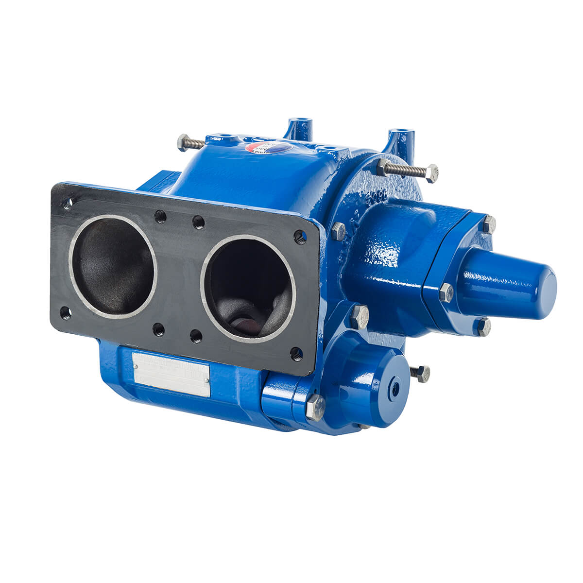 CC10 Rotary Vane Pumps Mouvex