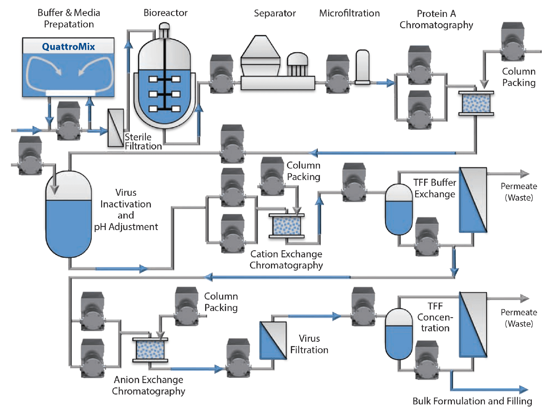 Downstream Processing Flow Chart