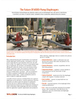 White paper cover image