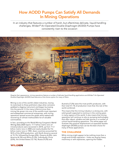 Mining Applications White Paper