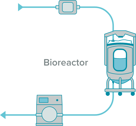 Bioreactor flow example