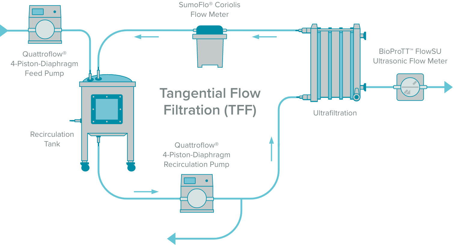 Tangential Flow Filtration (TFF) flow example